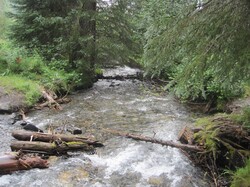 Stream in Cooper Landing, Alaska in August