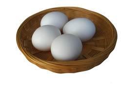 Four white eggs in a small basket