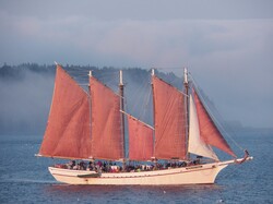 Photo of a four mast schooner in fog