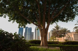 Jumeirah Lake Towers