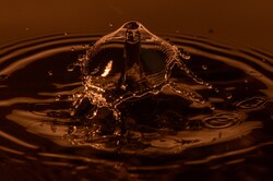 Orange mushroom resulting from the impact of two drops of water