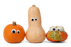Three pumpkin faces isolated on white background. Just add mouths to create various expressions