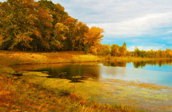 River bank in autumn