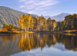 Enchanted forest in autumn reflected in water