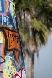 Graffiti with palm tree in back and words listen