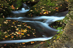 Mountain stream in motion in Bila Opava walk in autumn