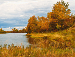 Trees grow on the banks of the river. Autumn Landscape.