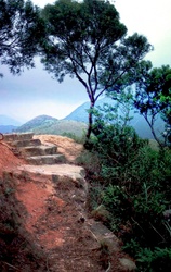 On a hiking trail, partially washed away after a typhoon, near Cloudy Hill, Hong Kong