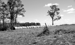 Bales of hay background black and white image