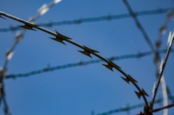 Barb wire fence