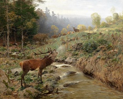 A huge bull elk standing beside a creek on a mountainside calling.