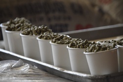 A row of food to feed sheep and goats at a petting zoo