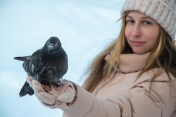 Pigeon, Bird, Feed Pigeons, Winter