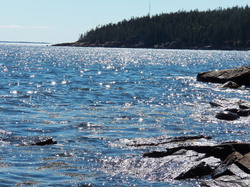 Photo of sparkling ocean waves