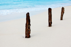 Three rusty sticks on the white beach
