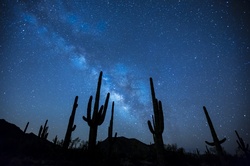 Desert Night Sky