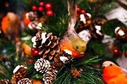 Colorful Christmas robin birds decoration