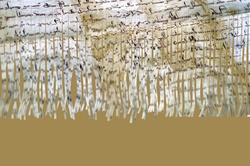 Old document in shreds