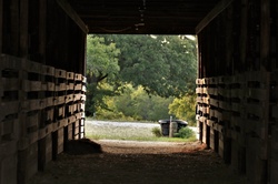 Tunnel view through the inside of an old horse barn with empty stables and hay on the ground, with a water trough and trees at the end, on the outside.
