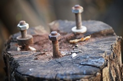 Three screws and bolts turned into the top of a cut wooden stump