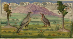 Illustrations from the Lights of Canopus (1847)