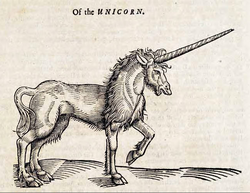Of the Unicorn