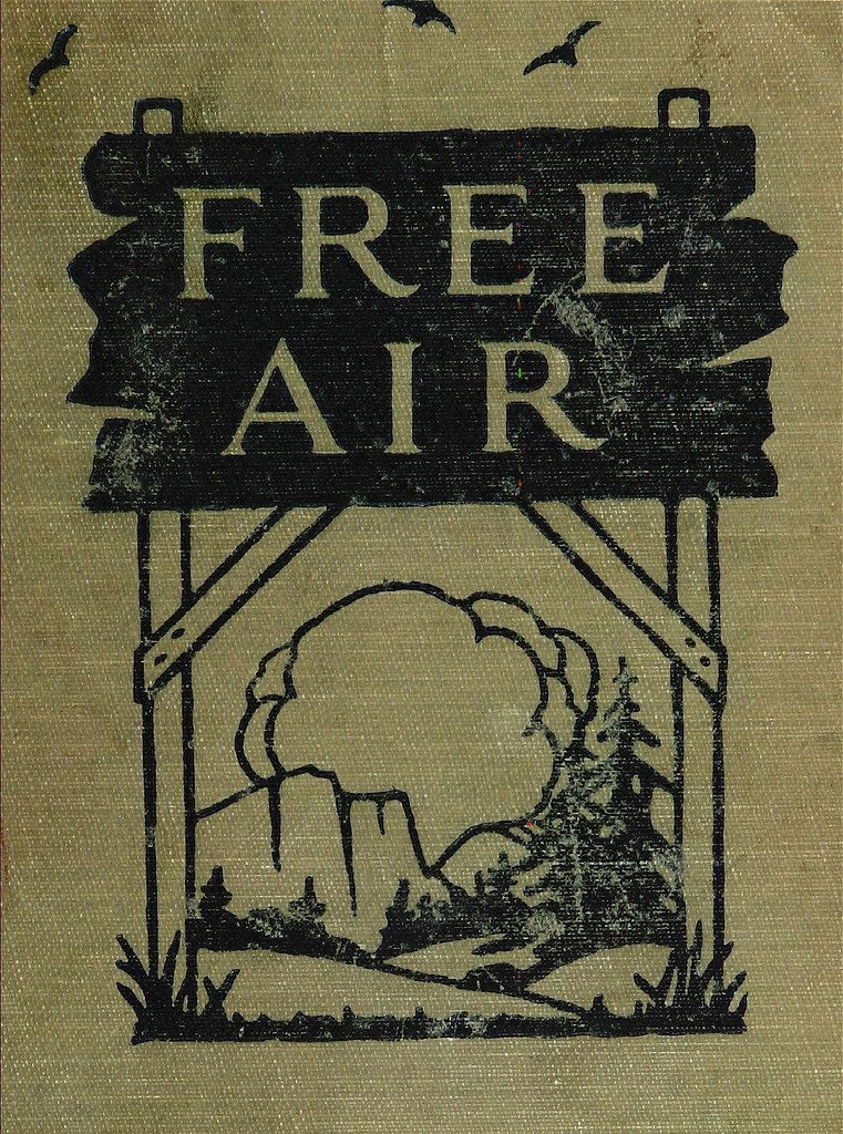 Cover Illustration for Free Air