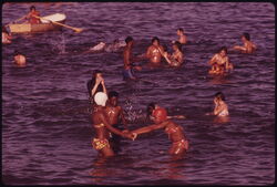 Blacks and whites take to the water at a 12th Street beach on Lake Michigan on...