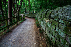 A bit spooky footpath in the forest