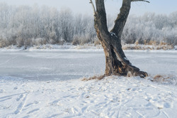 Winter landscape covered in snow.
