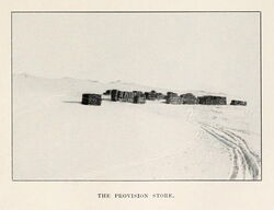 The Provision Store
