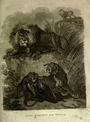 History of the Earth and Animated Nature