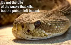 Inspiration and Motivation