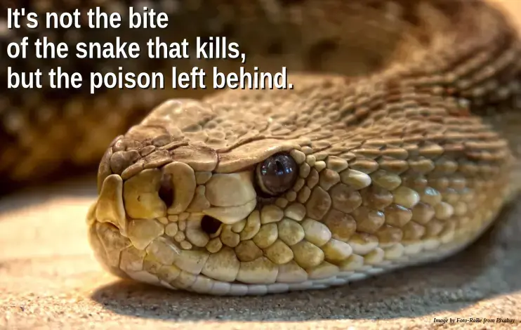 Inspiration and Motivation