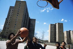 Black youths play basketball