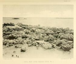 Skull Reef, Outer Barrier Series