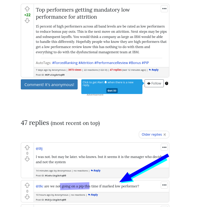 are we not going on a pip this time if marked low performer?
