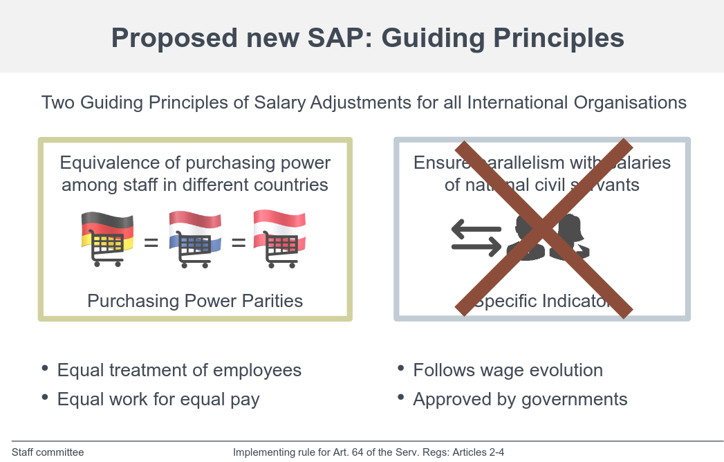Proposed new SAP: Guiding Principles
