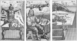 Clysmatica Nova (1667)