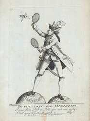 The Fly-Catching Macaroni