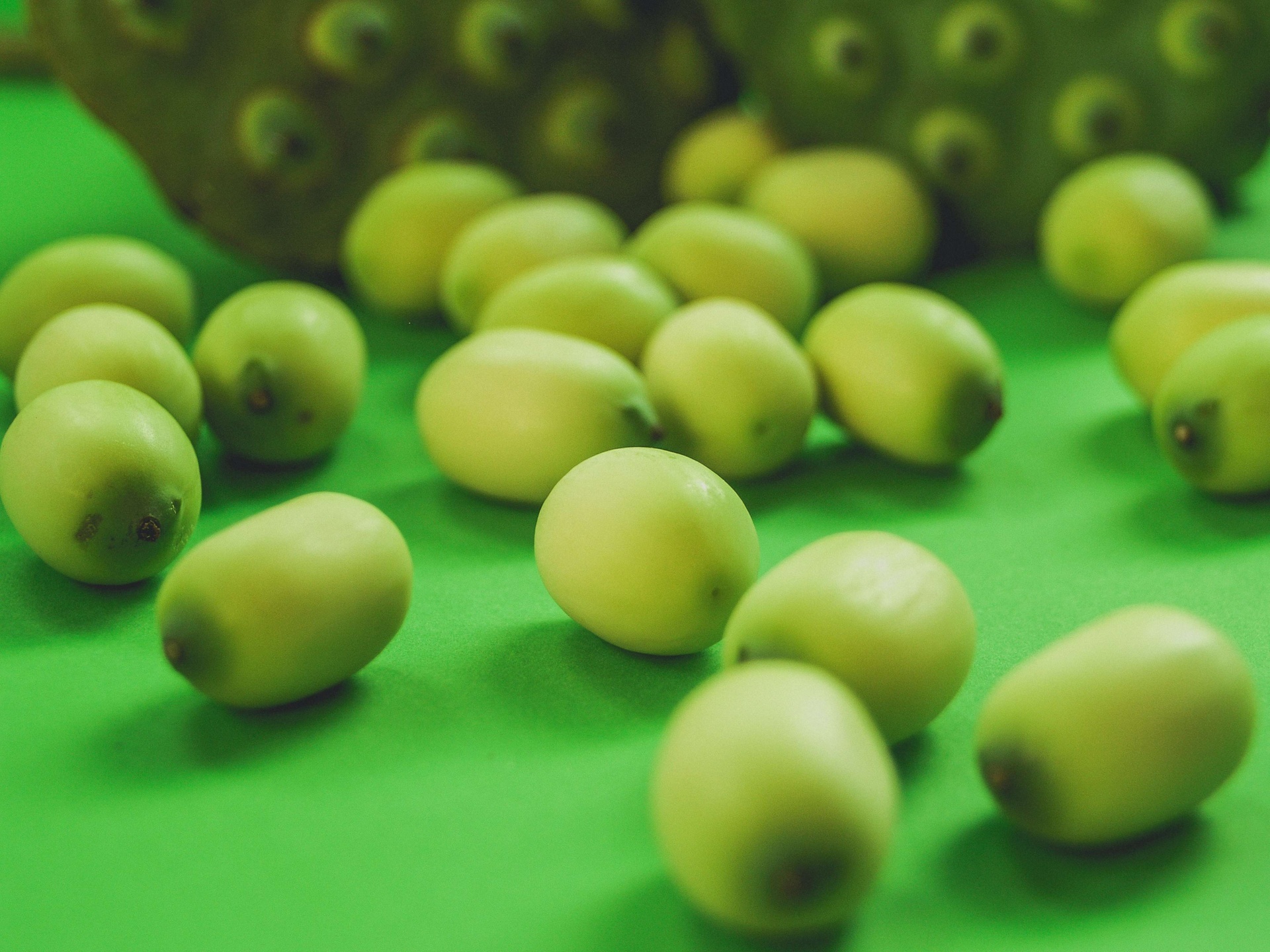 Close-up Of Lotus Pods And Seeds