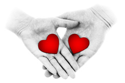 Black and white hands holding two red hearts on white background