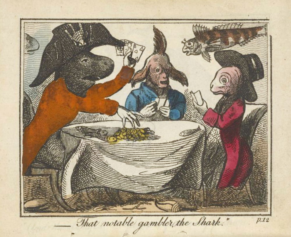 That notable gambler, the Shark.