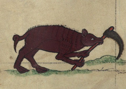 Boar digging a grave