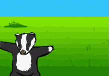 Find all the badgers in this photo