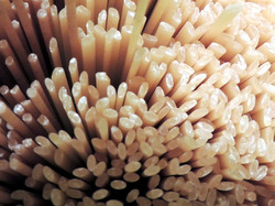 Dry Pasta Noodles
