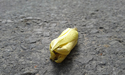 Lonely