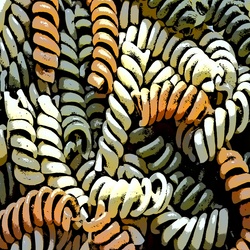 Drawing design of pasta for scrapbooking and others