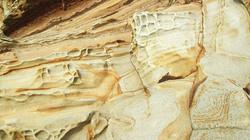 This is naturally sculptured sandstone that is on the trail to the Point Reyes Lighthouse, Point Reyes, California USA. Wind speeds have been clocked at up to 133 MPH there.