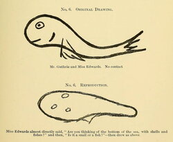 Telepathic Transference of Images Between Two People